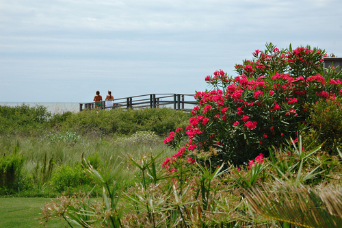 Kiawah Island has it all.